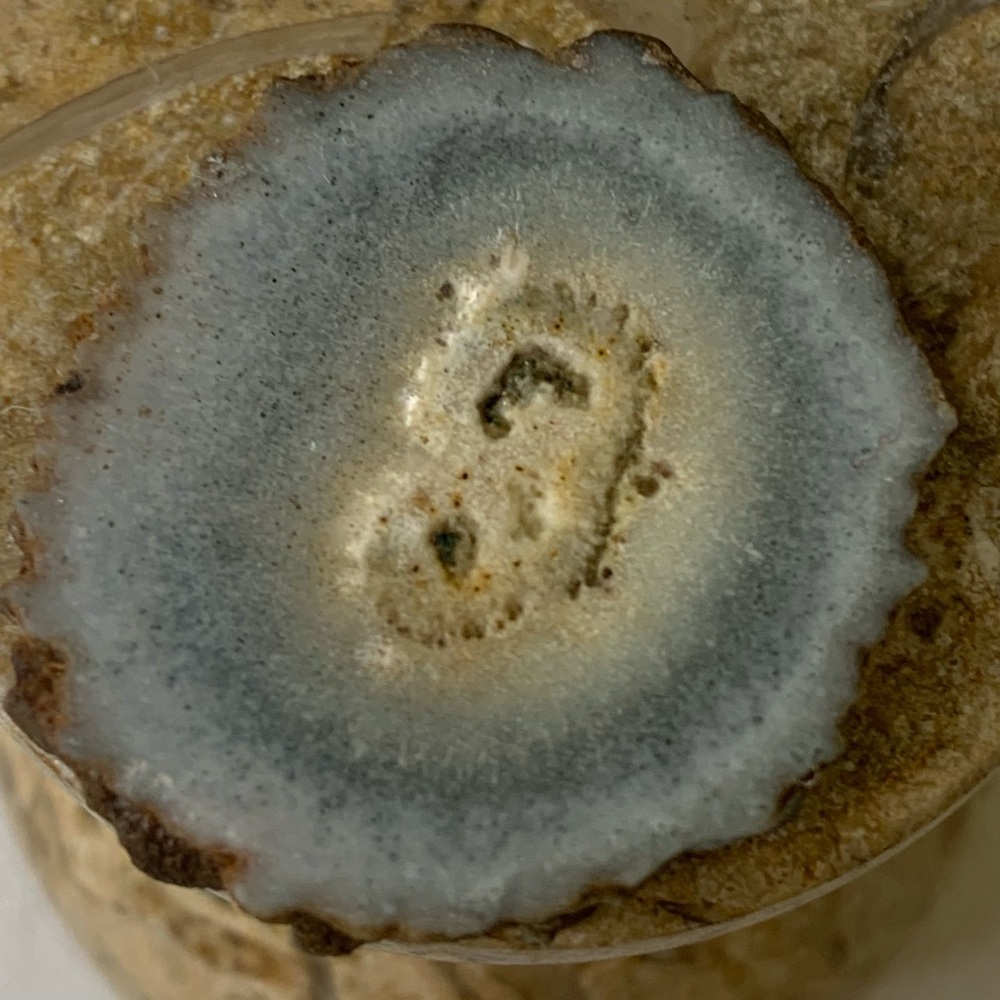 Stalactite Slice Polished Crystal Cave Mineral Rind Las Torres Mine Uruguay 1.3" - Picture 6 of 9